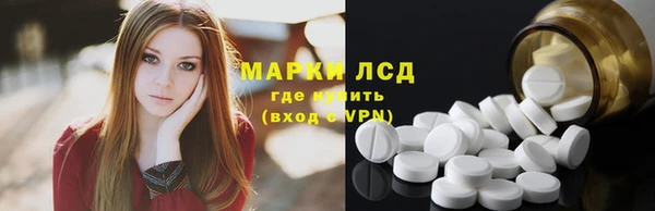 стаф Кулебаки