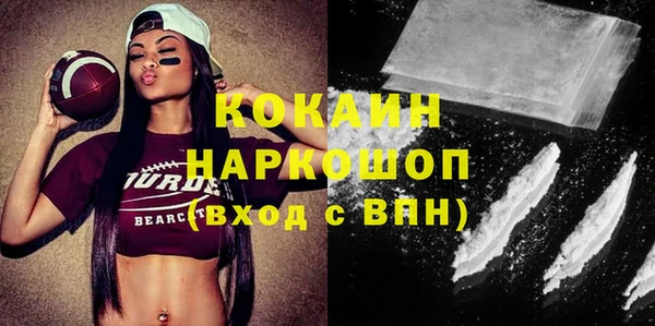стаф Кулебаки