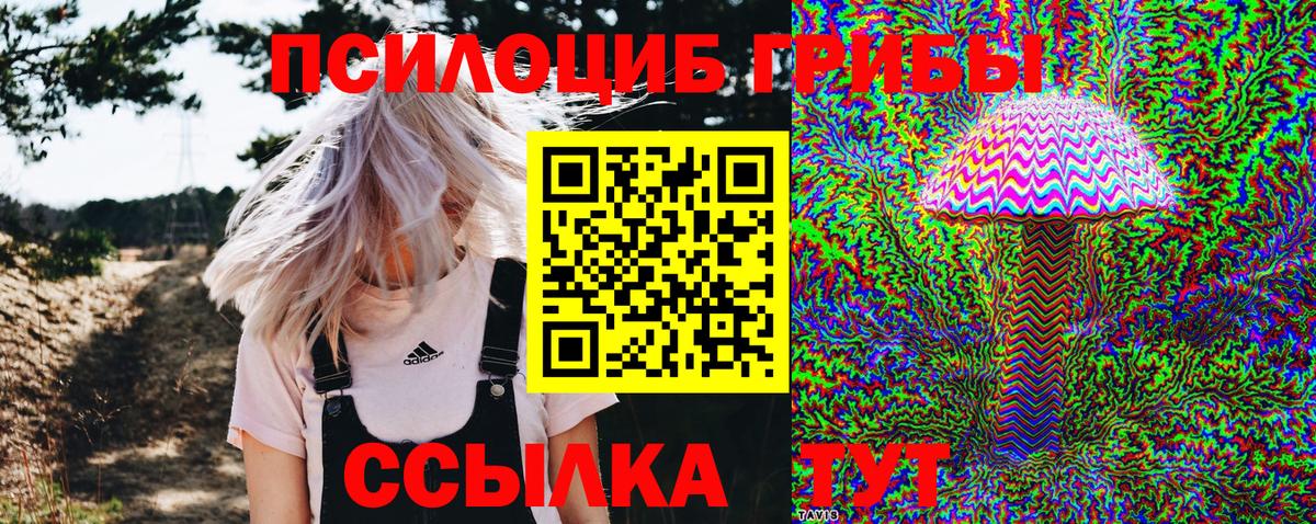 Галлюциногенные грибы Psilocybine cubensis Бор
