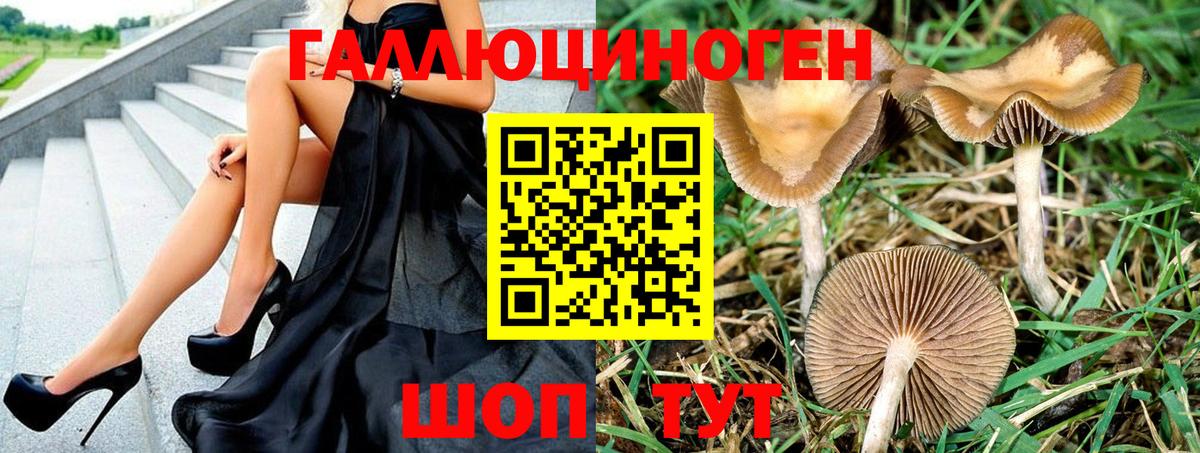 Псилоцибиновые грибы Cubensis  Вход с VPN  Галлюциногенные грибы GOLDEN TEACHER  Бор 