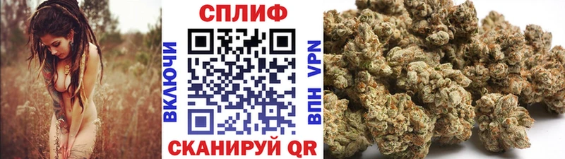 Каннабис план  Бор 