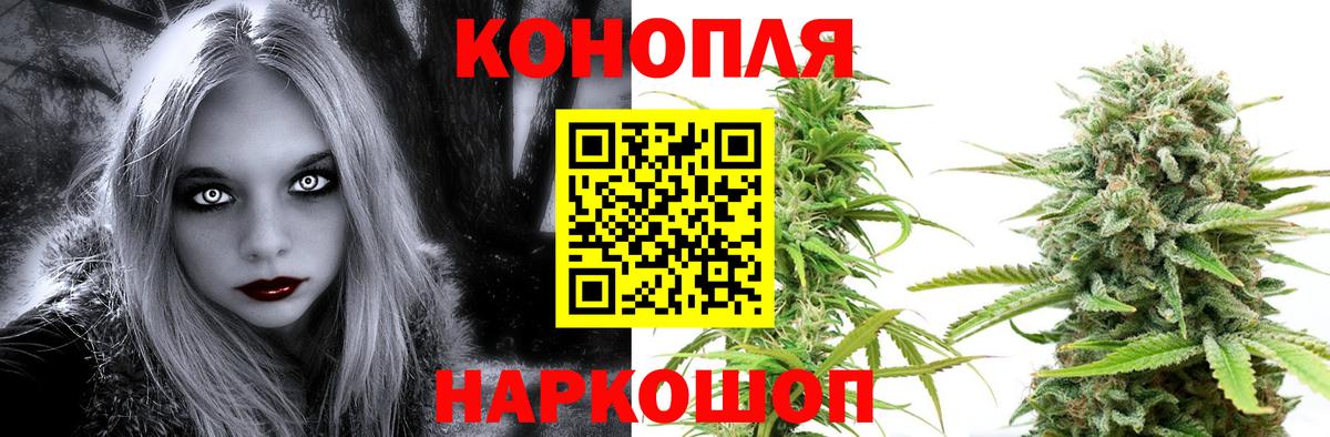 МАРИХУАНА гибрид Бор