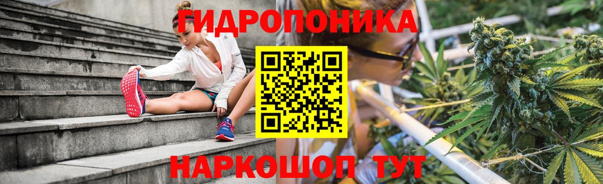 Бошки марихуана планчик  Шишки марихуана ГИДРОПОН  Канабис индика  Бор  Канабис VHQ 